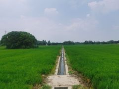 -嘉北郊野公园