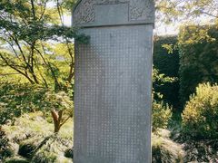 -亭林公园