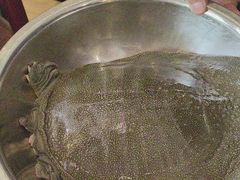 -喜湘宴·精致湖南菜(和平西桥店)