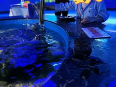 -石林冰雪海洋世界