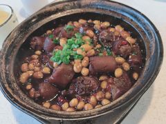 黄豆猪尾巴煲-阿龙酒煲(海宁新苑路店)