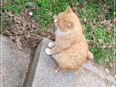-贮水山儿童公园