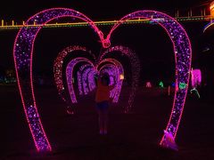 -武汉紫薇都市田园