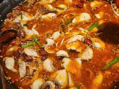 -蜀都丰 川菜·水煮活鱼(万象九宜城店)
