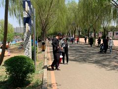 -丁香湖公园