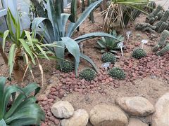 -郑州植物园