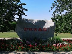 -御林古桑园