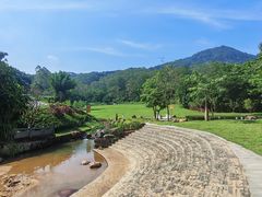 -黄埔油麻山森林公园