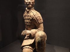 -陕西历史博物馆