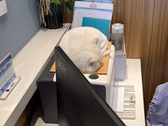-御宝贝·A梦猫科宠物医院(国际猫友好医院)