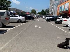 -大星发农发地农副产品批发市场-停车场