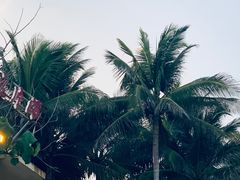 -这片海·海景餐厅(博鳌店)