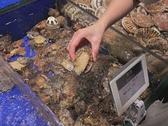 葱油小鲍鱼-高佳庄·舟山海鲜(海景旗舰店)