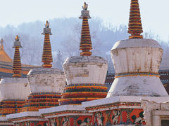 -塔尔寺