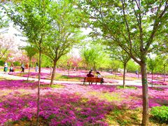 -古柏渡飞黄旅游区