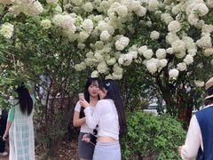 -大龙山(地铁站)