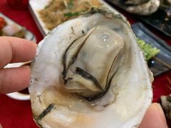 -林记生蚝·专注生蚝三十载(创意园店)