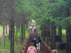 -红崖峡谷景区