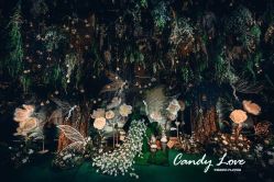 -上海外高桥喜来登酒店·宴会厅