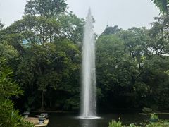 -九龙公园