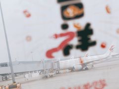 -上海浦东国际机场-T2航站楼