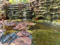 -国家植物园南园