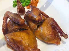 福记金牌鸽-好福记饭店(红梅公园店)