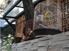 -锦尚阁烤鱼•天津菜(宣武门胡同店)