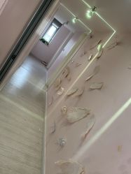 -Beauty Nails 美甲美睫皮肤管理
