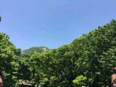 -普陀山风景名胜区-法雨禅寺