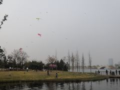 -孔子六艺文化园