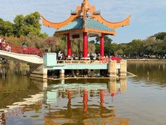 -金砂公园