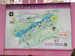 -高东镇樱花园