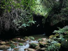 -赤水丹霞旅游区·佛光岩