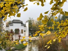 -武清南湖绿博园
