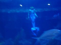 -水上乐园·欢乐世界