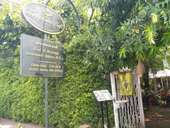 -Fern Forest Cafe