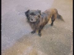 -聪辉同安老美食饭店(大元路店)