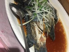 -同君福大酒楼(紫新路店)
