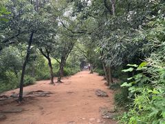 -灵岩山风景区