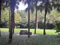 -南宁南湖公园