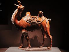 -洛阳博物馆