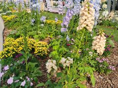 -深圳国际园林花卉博览园