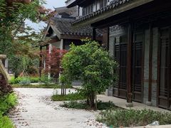 -同里国家湿地公园