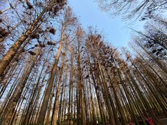 -森波拉奇妙世界