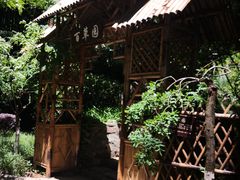 -上海市保健医疗中心(华东疗养院)