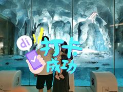 -帝企鹅自助餐厅•儿童岛•真企鹅(长隆企鹅酒店)