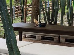 -MOJ coffee(瓯海泽雅水碓坑店)