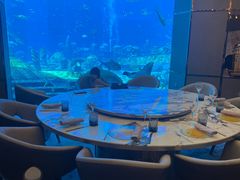 -亚特兰蒂斯•OSSIANO奥西亚诺海底餐厅