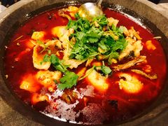 石锅鱼-虎虎龙虾大排档(双井店)